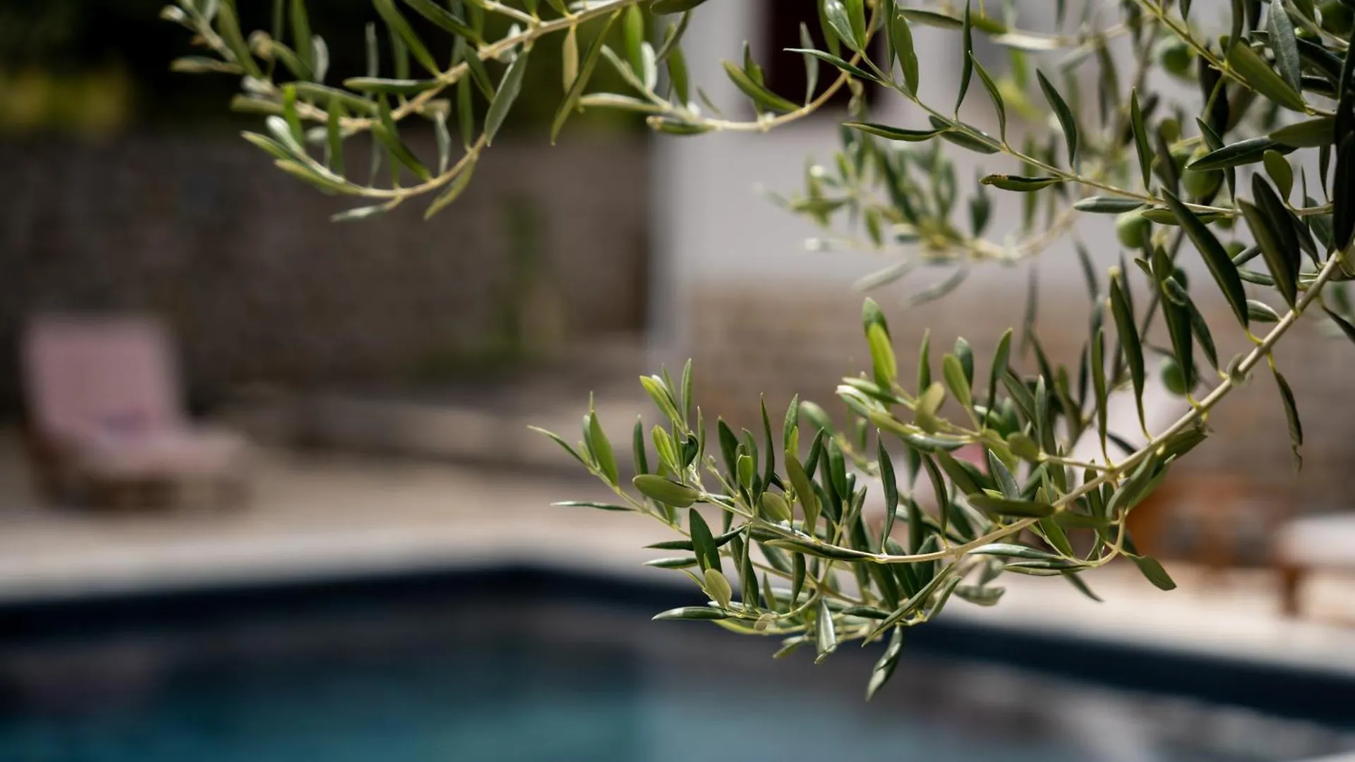 Villa Pag Dubrava Relax With Pool Bosana Croatia